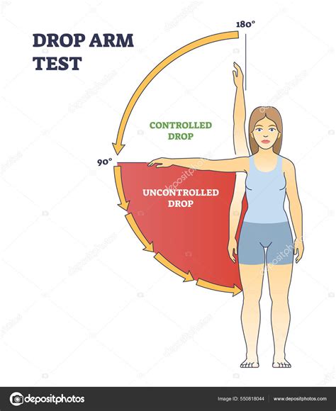 drop test physical therapy|drop arm test for pain.